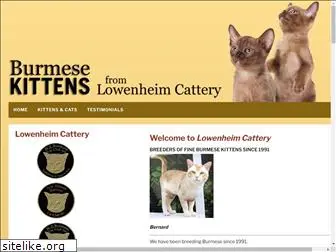 burmese-kittens.co.nz
