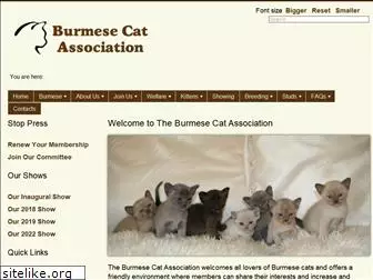 burmesecatassociation.org