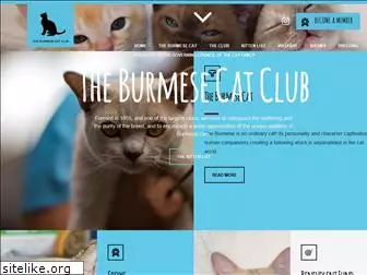 burmesecatclub.com