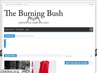 burningbushwick.com