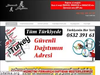 bursalidagitim.com