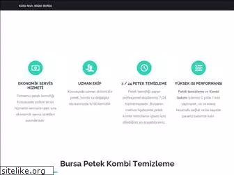 bursapetekkombitemizleme.com