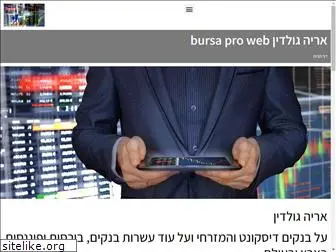 bursaproweb.com