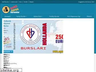 bursverenkurumlar.com