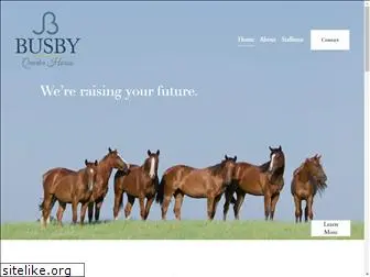 busbyquarterhorses.com