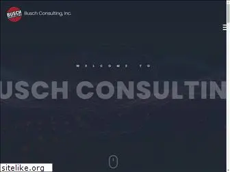 buschconsulting.com