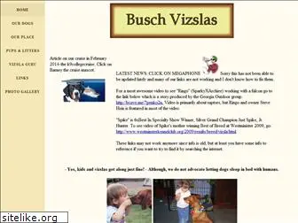 buschvizslas.com