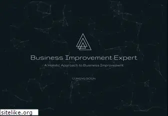 businessimprovementexpert.com