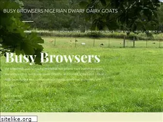busybrowsers.com