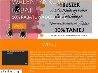 buszek.com