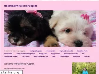 buttercuppuppies.com