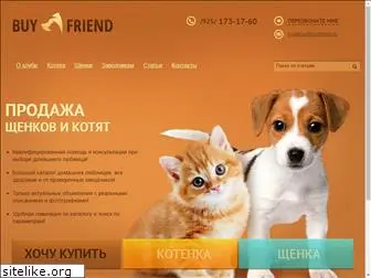 buyfriend.ru