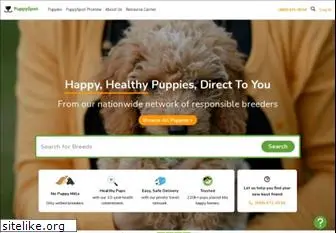 buypuppiesdirect.com