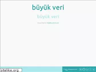 buyukveri.com