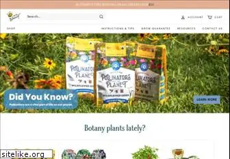 buzzyseeds.com