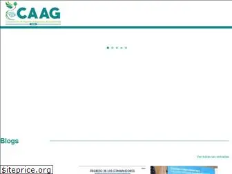 caag.org.gt