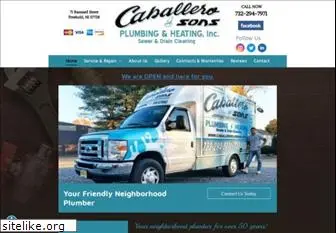 caballeroplumbing.com