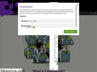 caboodleai.com