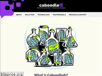 caboodleai.net