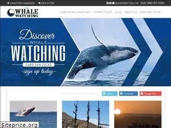 cabowhalewatching.net