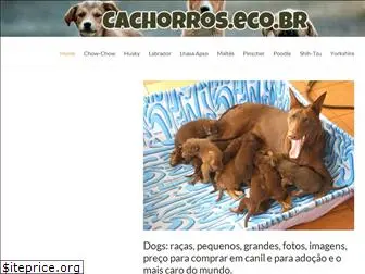 www.cachorros.eco.br