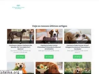 cachorrosfofos.com.br