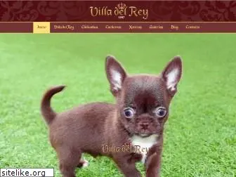 cachorrosyorkshirechihuahuas.com