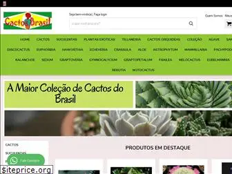 cactosbrasil.com.br