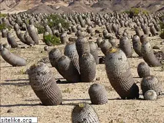 cactusclassification.science