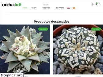 cactusloft.com