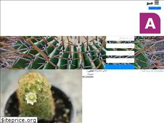 cactuso.ir