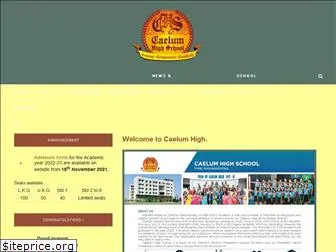 caelumhighschool.org