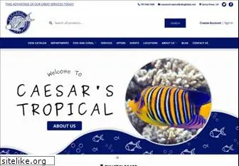 caesarstropicalfish.com