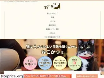 cafe-nekokatsu.com