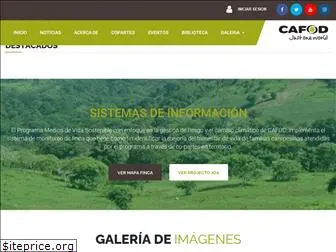 cafodca.org