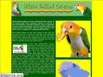 caique-parrot-pet-birds.com