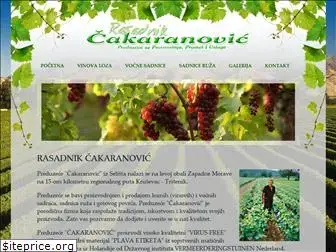 cakaranovic.com