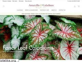 caladiumbulbs.com