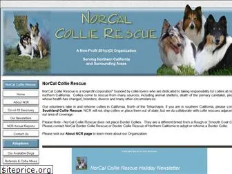 calcollierescue.org thumbnail