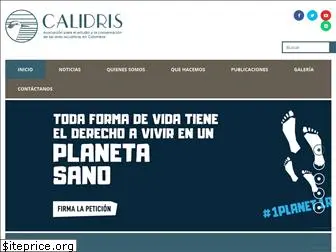 calidris.org.co