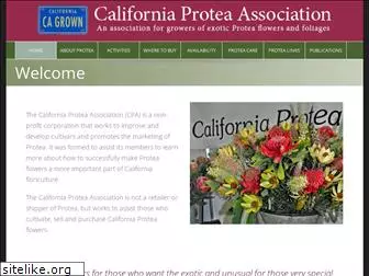 californiaprotea.org