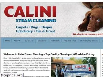 calinisteamcleaning.com