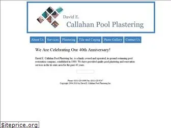 callahanpool.com