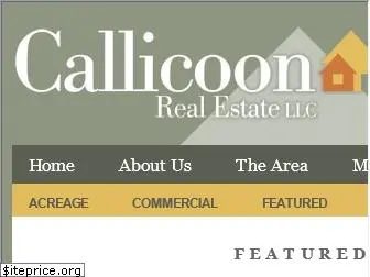 callicoon.com