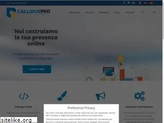 calliduspro.com