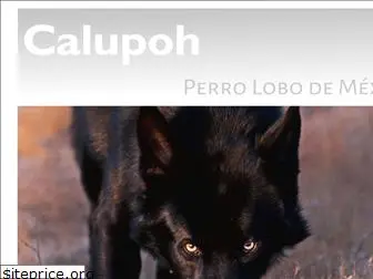 calupoh.com