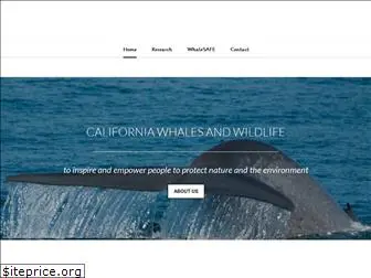 calwhales.org