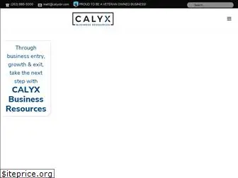 calyxbr.com