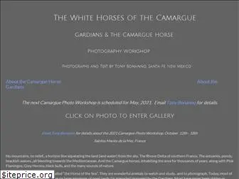 camarguehorses.com