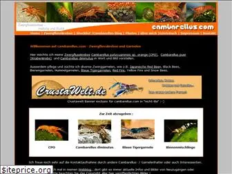 cambarellus.com